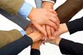 Employee School Program Nomor Photo Enhance Career
